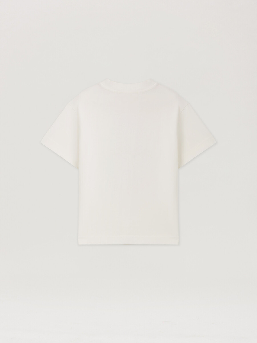 camiseta spray bear